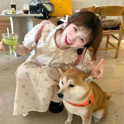 联邦调查局第八季
